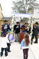Torah Dedication