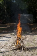 Lag B'omer 2011